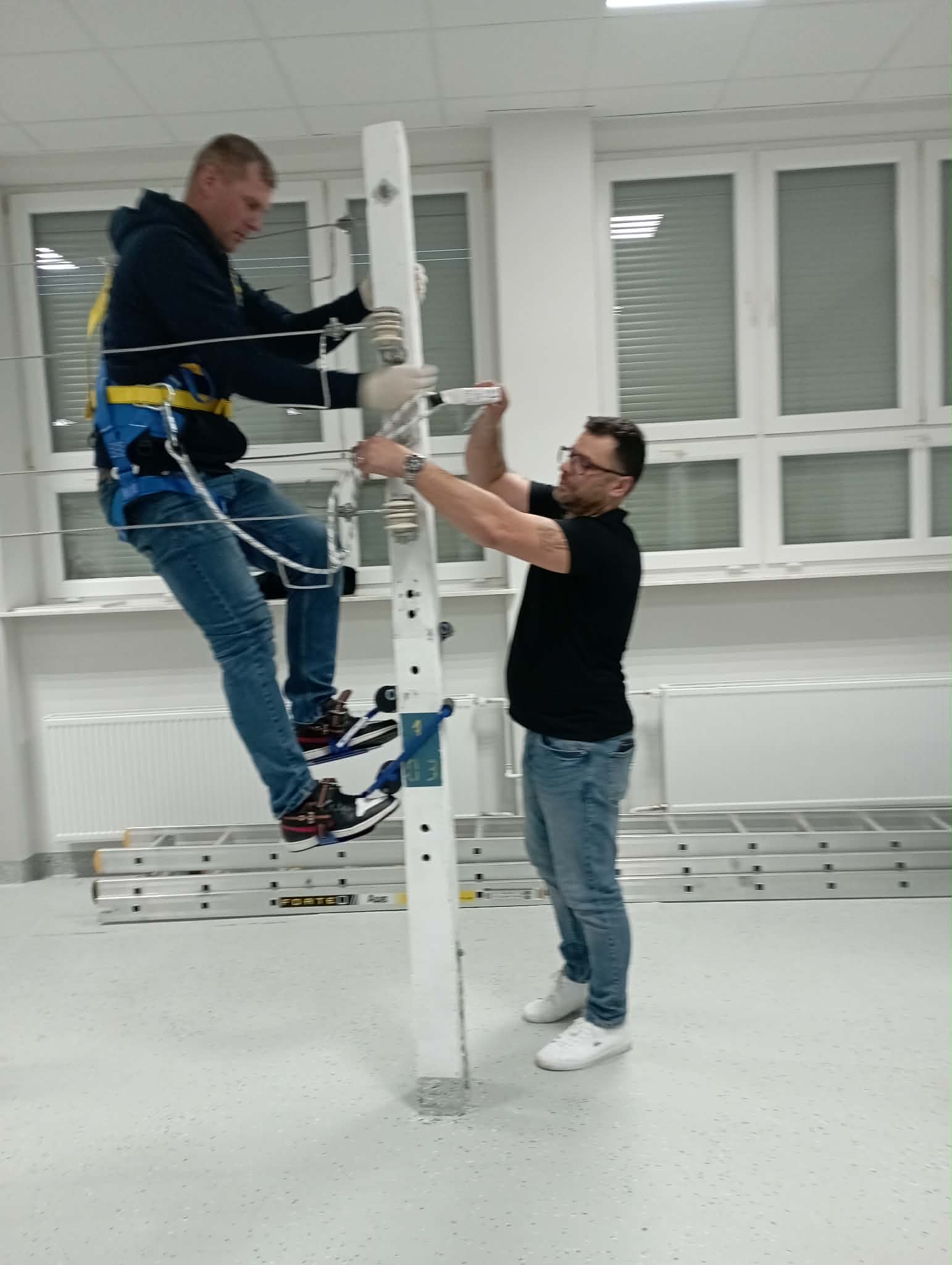 Obrazek